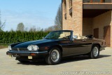 Jaguar XJ XJ-S V12 CONVERTIBILE