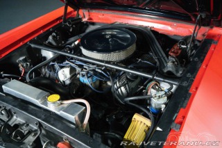 Ford Mustang 351 Fastback 1966