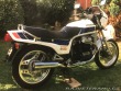 Honda CX 650e 1983