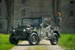 Ford Y M151\A2 M.U.T.T. (Military Utility Tactical T 1972