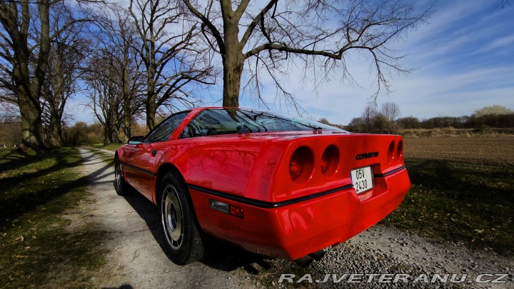 Chevrolet Corvette C4 L83 5.7 V8 1984