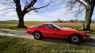 Chevrolet Corvette C4 L83 5.7 V8 1984