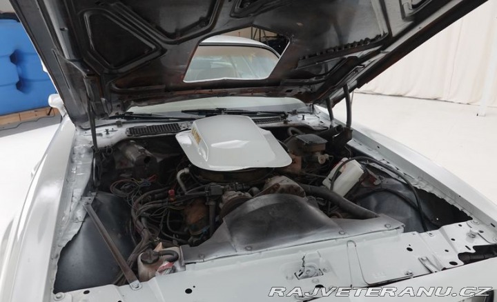 Pontiac Firebird II Trans AM 1981