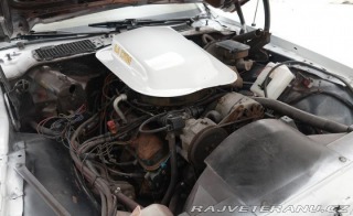 Pontiac Firebird II Trans AM 1981