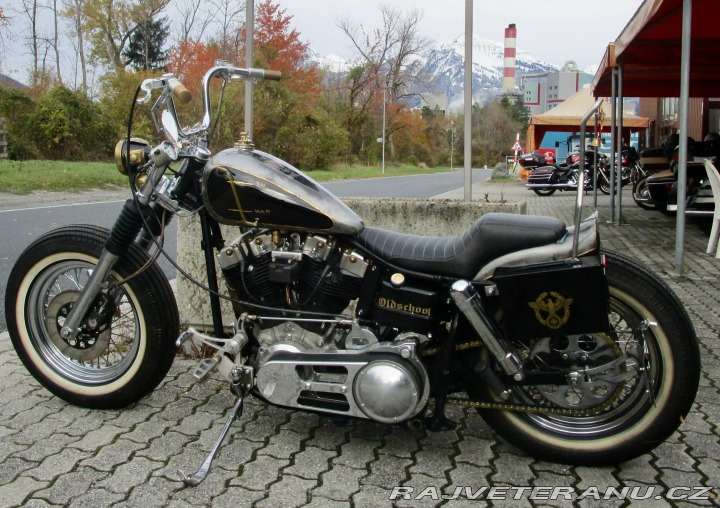 Harley-Davidson FX FXE/FXL/FXW 1975