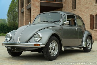 Volkswagen Brouk Maggiolino Giubileo