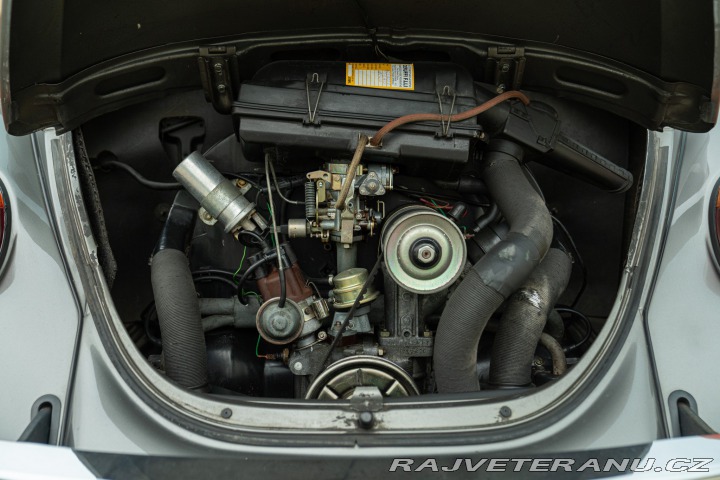 Volkswagen Brouk Maggiolino Giubileo 1986