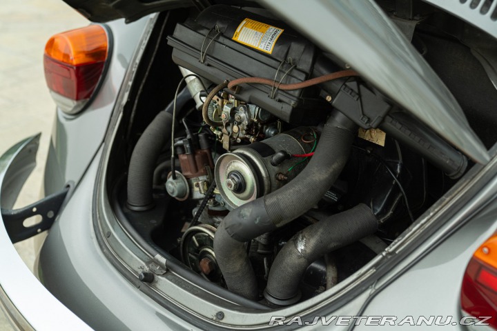 Volkswagen Brouk Maggiolino Giubileo 1986