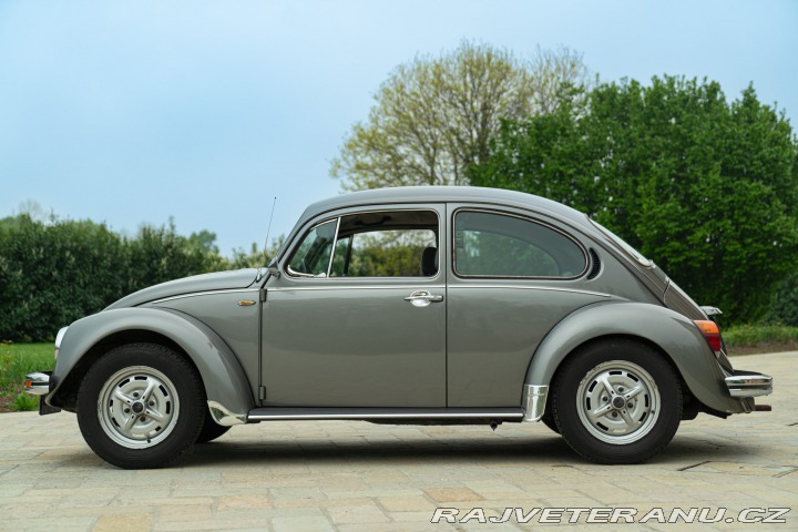 Volkswagen Brouk Maggiolino Giubileo 1986