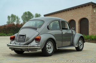 Volkswagen Brouk Maggiolino Giubileo 1986