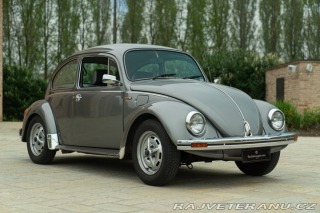 Volkswagen Brouk Maggiolino Giubileo 1986