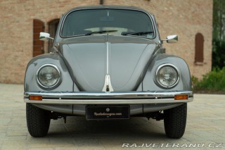 Volkswagen Brouk Maggiolino Giubileo 1986