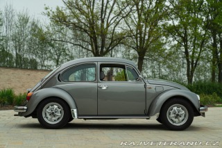 Volkswagen Brouk Maggiolino Giubileo 1986