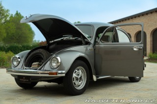 Volkswagen Brouk Maggiolino Giubileo 1986