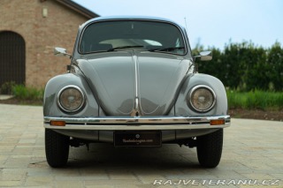 Volkswagen Brouk Maggiolino Giubileo 1986