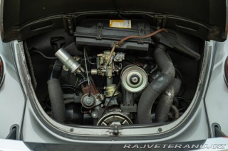 Volkswagen Brouk Maggiolino Giubileo 1986