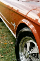 Ford Mustang Fastback 1966