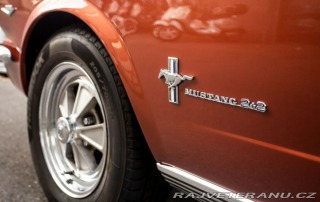 Ford Mustang Fastback 1966