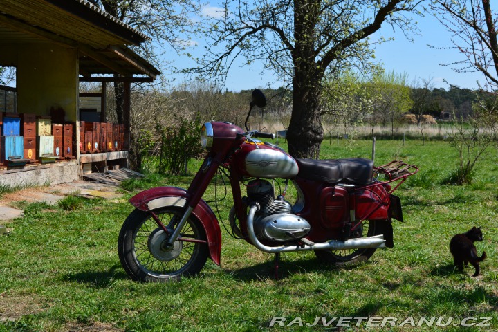 Jawa 250 353 1955