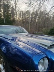 Pontiac Firebird  1971