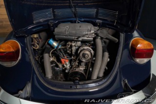 Volkswagen Brouk 1300 1971