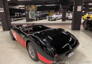 Ostatní značky Ostatní modely Austin-Healey 3000 BN7 1959