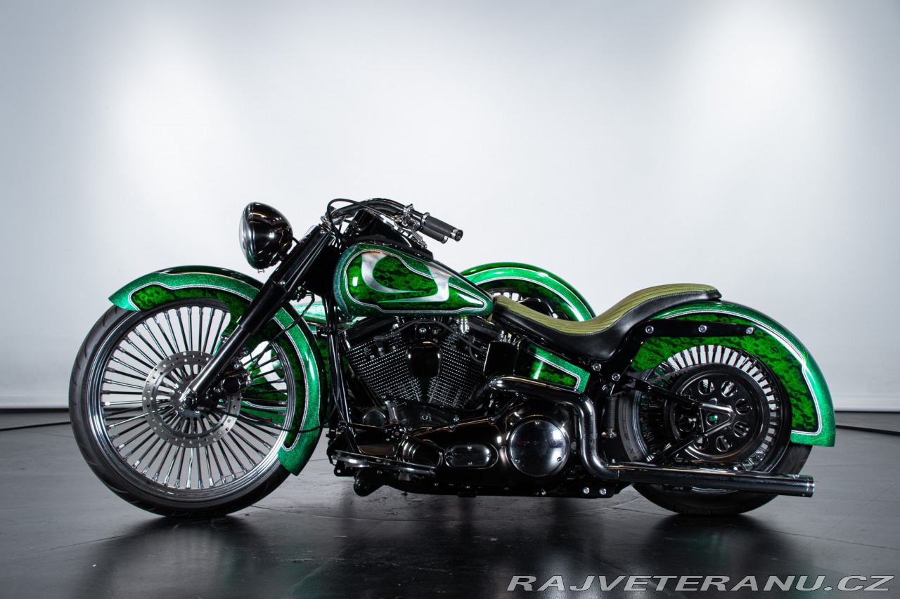 Harley-Davidson SOFTAIL HERITAGE SIDECAR