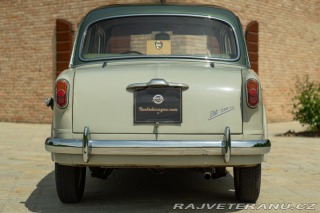 Fiat 1100 1100/103 TV 1954