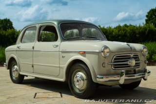 Fiat 1100 1100/103 TV 1954