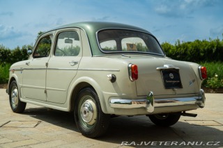 Fiat 1100 1100/103 TV 1954