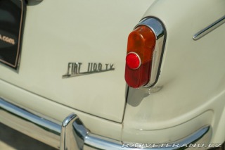 Fiat 1100 1100/103 TV 1954