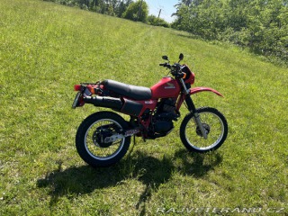 Honda XL XL500R 1982