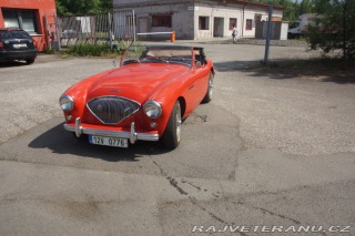 Austin Healey 100-4 1955