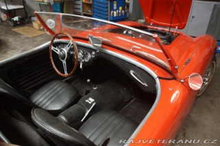 Austin Healey 100-4 1955