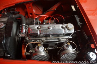 Austin Healey 100-4 1955
