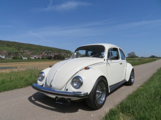 Volkswagen Brouk 