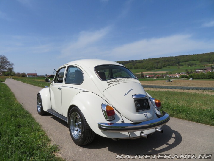 Volkswagen Brouk 1970