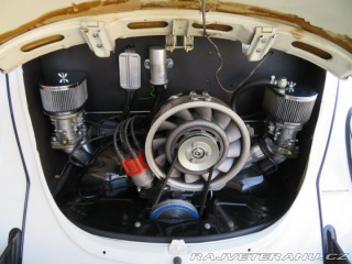 Volkswagen Brouk 1970