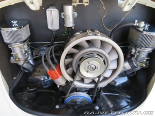 Volkswagen Brouk 1970