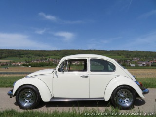 Volkswagen Brouk 1970