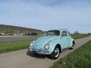 Volkswagen Brouk De Luxe