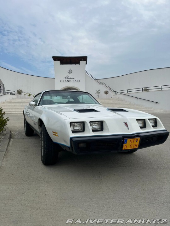 Pontiac Firebird Formula T-Top Targa 1981