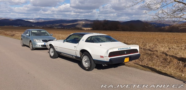 Pontiac Firebird Formula T-Top Targa 1981