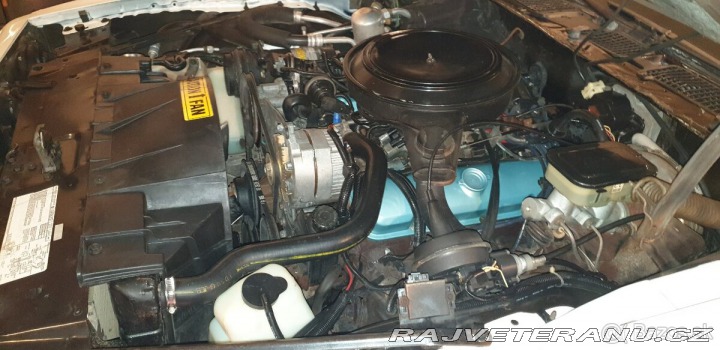 Pontiac Firebird Formula T-Top Targa 1981