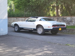 Pontiac Firebird Formula T-Top Targa 1981
