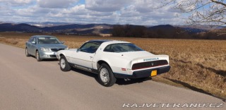 Pontiac Firebird Formula T-Top Targa 1981