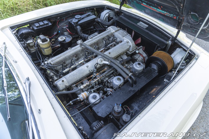 Aston Martin DB DBS 6 1970
