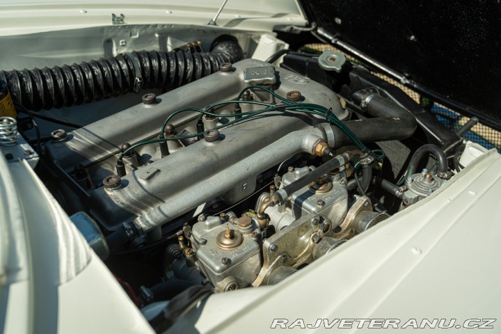 Alfa Romeo Giulia SPRINT SPECIALE 1963
