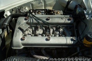 Alfa Romeo Giulia SPRINT SPECIALE 1963