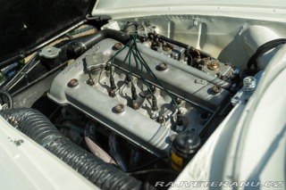 Alfa Romeo Giulia SPRINT SPECIALE 1963